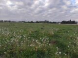  2525234-11782annonce120260529X667x.jpeg Maisons Open