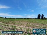  2525343-5828annonce120250320EzCxy.jpeg Maisons Open