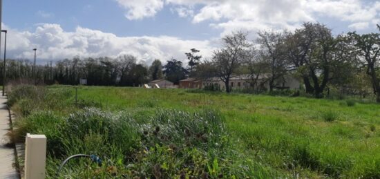 Terrain à bâtir à Verdun-sur-Garonne, Occitanie