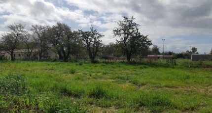 Verdun-sur-Garonne Terrain à bâtir - 2523026-5202annonce320260528Qr2IM.jpeg Maisons Open