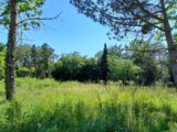  2524762-11870annonce120260529uqhTs.jpeg Maisons Open