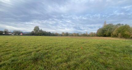 Juillan Terrain à bâtir - 2447839-902annonce3202603040hQX6.jpeg Maisons Open