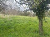  2476066-11356annonce120260403e6Uub.jpeg Maisons Open