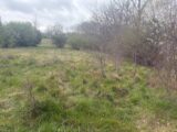  2476066-11356annonce420260403GRIWU.jpeg Maisons Open