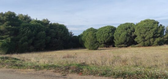 Terrain à bâtir à Autignac, Occitanie