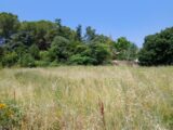  2527253-11040annonce120260601Gbc5m.jpeg Maisons Open