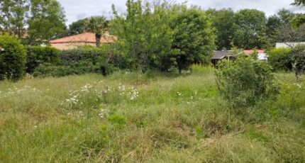 Sainte-Pazanne Terrain à bâtir - 2527276-11870annonce120260601MQVcG.jpeg Maisons Open