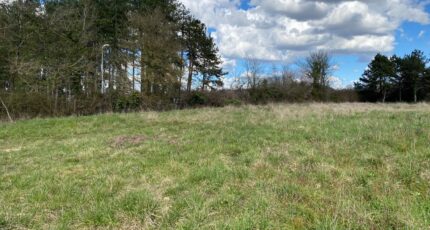 Tonnay-Boutonne Terrain à bâtir - 2529085-11194annonce2202606029VaCB.jpeg Maisons Open