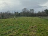  2530604-5020annonce120260602OTF6p.jpeg Maisons Open