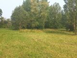  2530581-5020annonce120260602qmAsE.jpeg Maisons Open