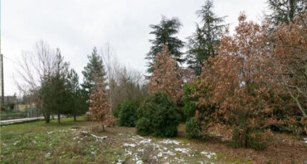 Villardonnel Terrain à bâtir - 2531027-10986annonce120250703ttgwO.jpeg Maisons Open