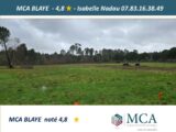  2482572-11516annonce1202604121E6WH.jpeg Maisons Open