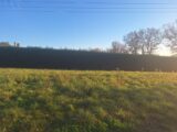  2531199-3575annonce120260603P5orS.jpeg Maisons Open