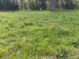  2532852-7050annonce220260603Guy6F.jpeg Maisons Open