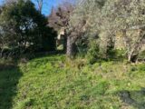  2532894-7050annonce220260603J4SCW.jpeg Maisons Open