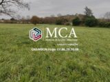  2431029-11091annonce120260216nvtxy.jpeg Maisons Open