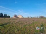  2431137-11091annonce120260216Rdiy6.jpeg Maisons Open
