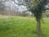  2535140-11356annonce3202606040OAT0.jpeg Maisons Open