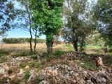  2536186-11137annonce220260605O3kid.jpeg Maisons Open