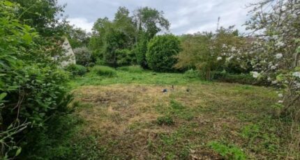 Milly-la-Forêt Terrain à bâtir - 2536214-5365annonce1202606051b4go.jpeg Maisons Open