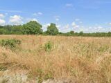  2535786-11870annonce120260605BEn6H.jpeg Maisons Open