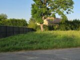  2531853-11516annonce120260603fsr0J.jpeg Maisons Open
