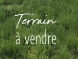  2538507-10558annonce120240716ppns8.jpeg Maisons Open