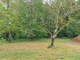  2536077-9555annonce120260605JJQOR.jpeg Maisons Open