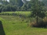  2532757-11516annonce1202606030qMrR.jpeg Maisons Open