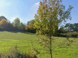  2580500-5771annonce120260710lW84l.jpeg Maisons Open