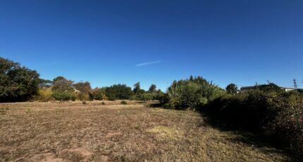 Puget-sur-Argens Terrain à bâtir - 2600669-4529annonce120260811LfK0G.jpeg Maisons Open