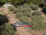  2562400-3951annonce220260624znbn0.jpeg Maisons Open