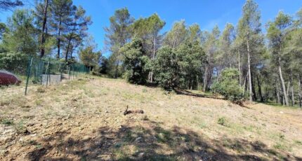 Taradeau Terrain à bâtir - 2562404-9911annonce420260624artaf.jpeg Maisons Open