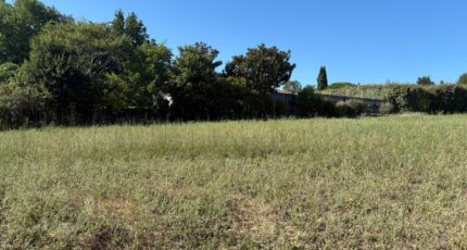 Villeneuve-lès-Bouloc Terrain à bâtir - 2563187-11356annonce320260624dzrfA.jpeg Maisons Open