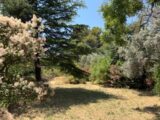  2563545-7060annonce220260624ARQ3Q.jpeg Maisons Open
