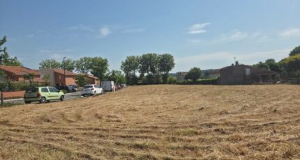 Pins-Justaret Terrain à bâtir - 2559736-6043annonce220260622Wozny.jpeg Maisons Open