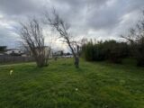  2566326-9555annonce120260626Dsgdw.jpeg Maisons Open