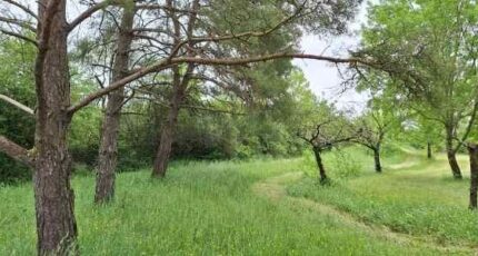 Bragayrac Terrain à bâtir - 2557289-9555annonce120260619OgSty.jpeg Maisons Open
