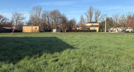 Buzet-sur-Tarn Terrain à bâtir - 2566468-11356annonce320260626FXru8.jpeg Maisons Open