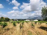  2568282-7060annonce220251113VMXoi.jpeg Maisons Open