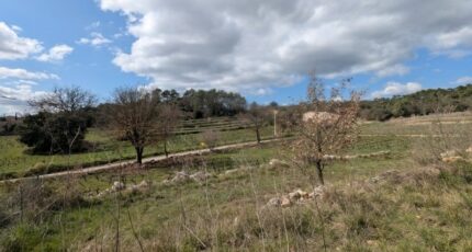 Carcès Terrain à bâtir - 2569857-11723annonce120260630F0d5I.jpeg Maisons Open