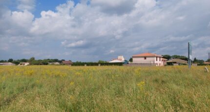 Montauban Terrain à bâtir - 2565208-5604annonce320260625znIHX.jpeg Maisons Open