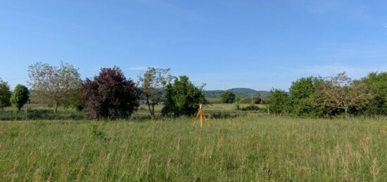 Terrain à bâtir à Palaminy, Occitanie