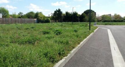 Ségoufielle Terrain à bâtir - 2573071-9555annonce120260703tiFSw.jpeg Maisons Open
