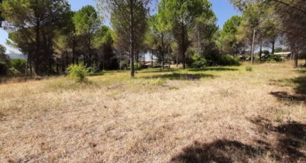 Roquebrune-sur-Argens Terrain à bâtir - 2575499-10295annonce120260706WHta2.jpeg Maisons Open
