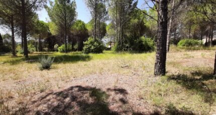 Roquebrune-sur-Argens Terrain à bâtir - 2575499-10295annonce220260706BZN6G.jpeg Maisons Open