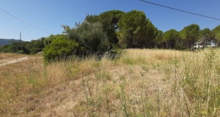 Roquebrune-sur-Argens Terrain à bâtir - 2575499-10295annonce320260706xFf4o.jpeg Maisons Open