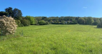 Tauriac Terrain à bâtir - 2578526-11913annonce220260708nZUcn.jpeg Maisons Open