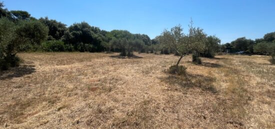 Terrain à bâtir à , Gard