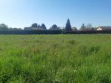  2584217-5202annonce220260717TGgxF.jpeg Maisons Open